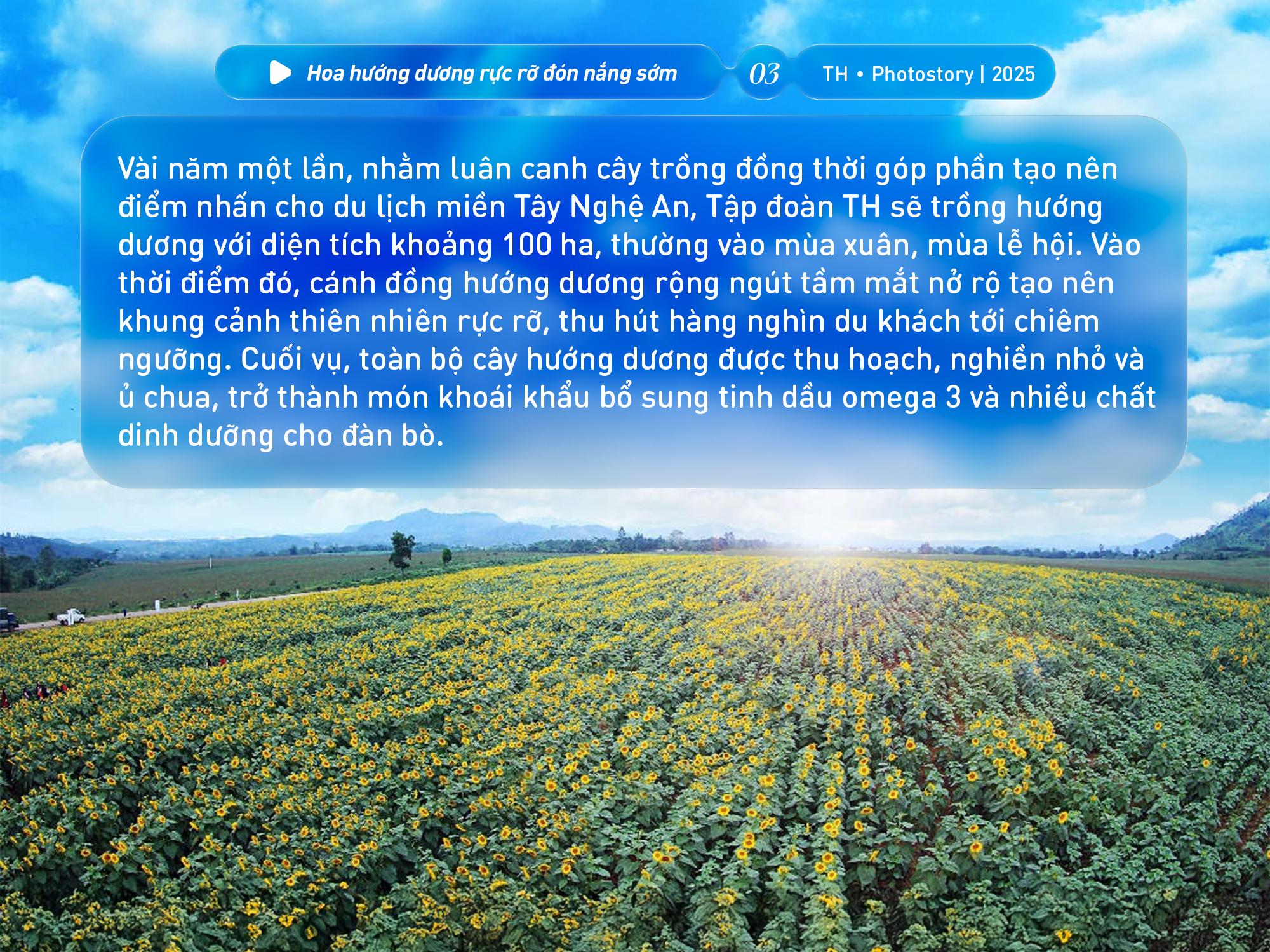 Bức tranh thiên nhiên ngút tầm mắt chỉ có ở nơi sản xuất sữa tươi sạch TH true MILK- Ảnh 3. Bức tranh thiên nhiên ngút tầm mắt chỉ có ở nơi sản xuất sữa tươi sạch TH true MILK- Ảnh 3.