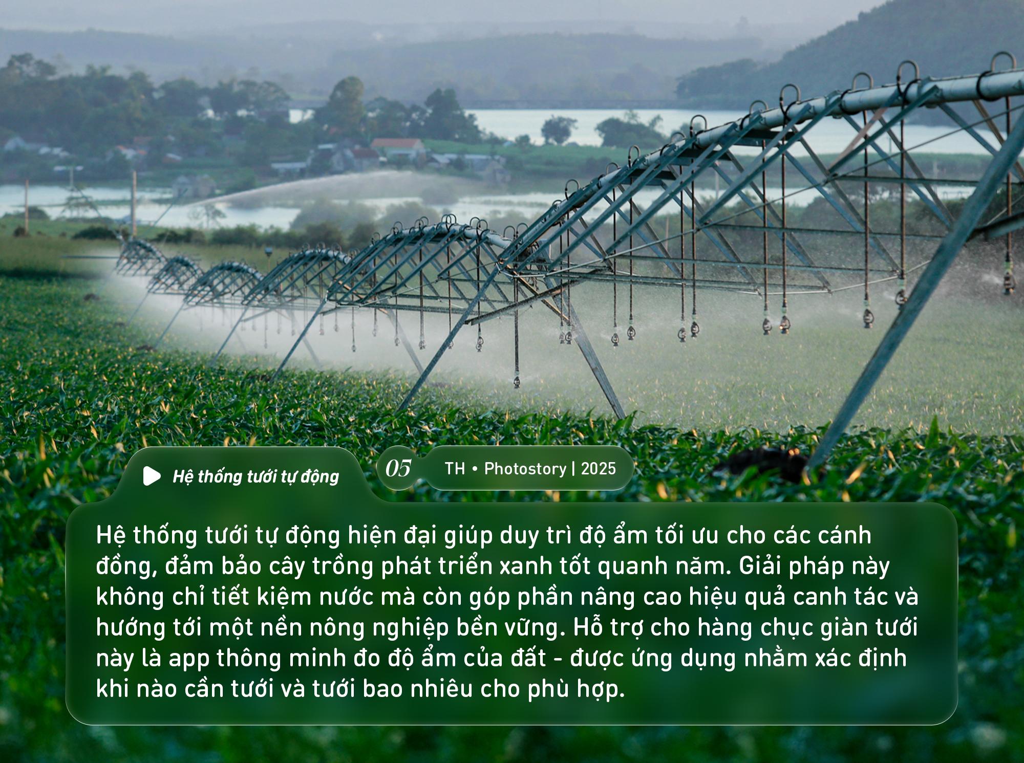 Bức tranh thiên nhiên ngút tầm mắt chỉ có ở nơi sản xuất sữa tươi sạch TH true MILK- Ảnh 5. Bức tranh thiên nhiên ngút tầm mắt chỉ có ở nơi sản xuất sữa tươi sạch TH true MILK- Ảnh 5.
