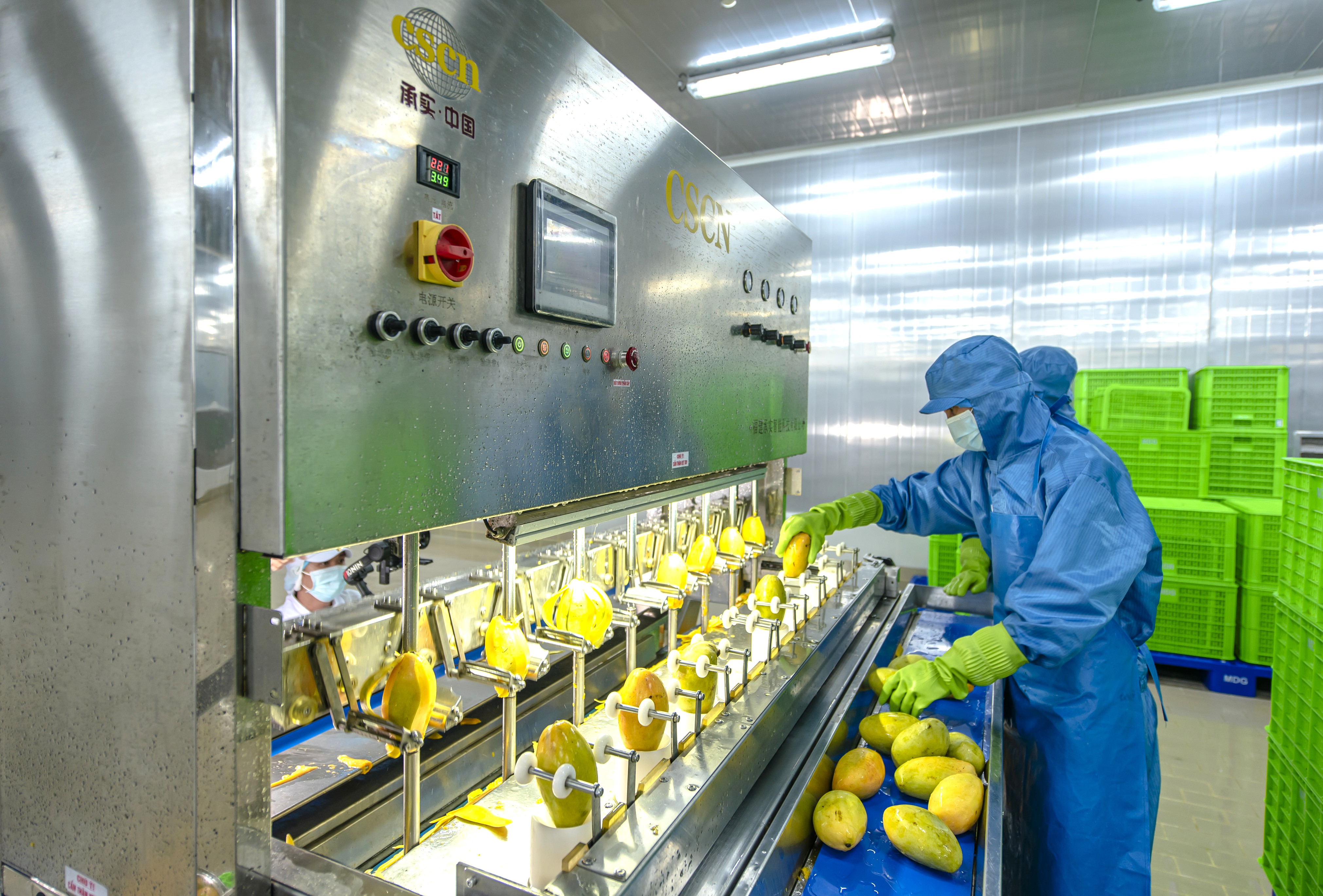 AIG tiên phong xu hướng chế biến sâu và chuỗi liên kết bền vững cho nông sản Việt- Ảnh 3. AIG tiên phong xu hướng chế biến sâu và chuỗi liên kết bền vững cho nông sản Việt- Ảnh 3.