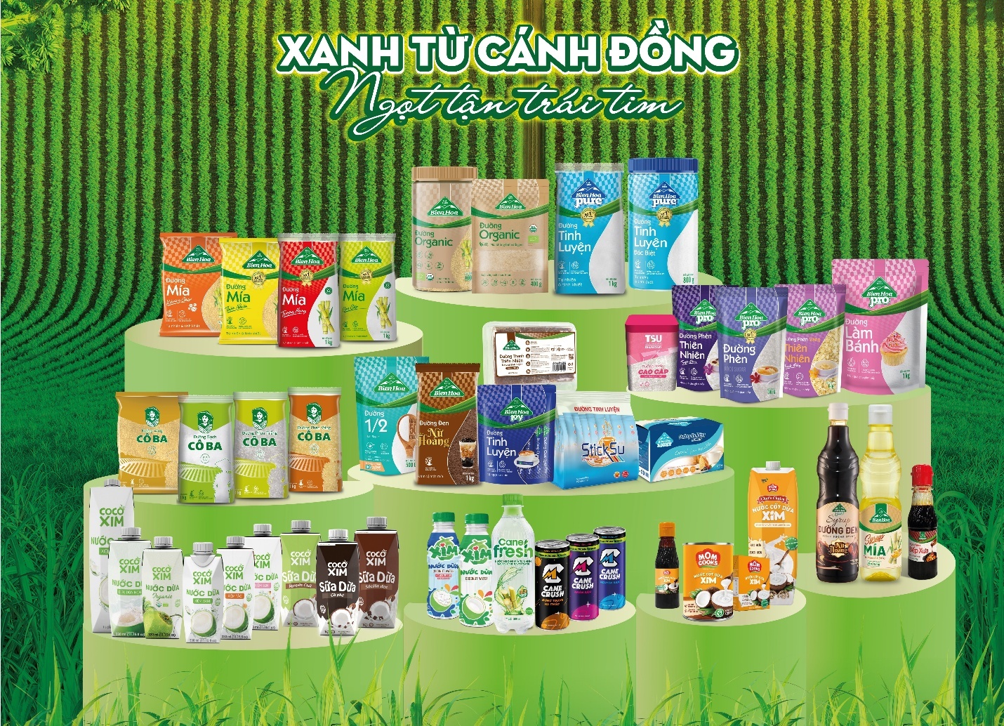 SBT trở lại đường đua tăng trưởng, báo lãi vượt kỳ vọng- Ảnh 1. SBT trở lại đường đua tăng trưởng, báo lãi vượt kỳ vọng- Ảnh 1.