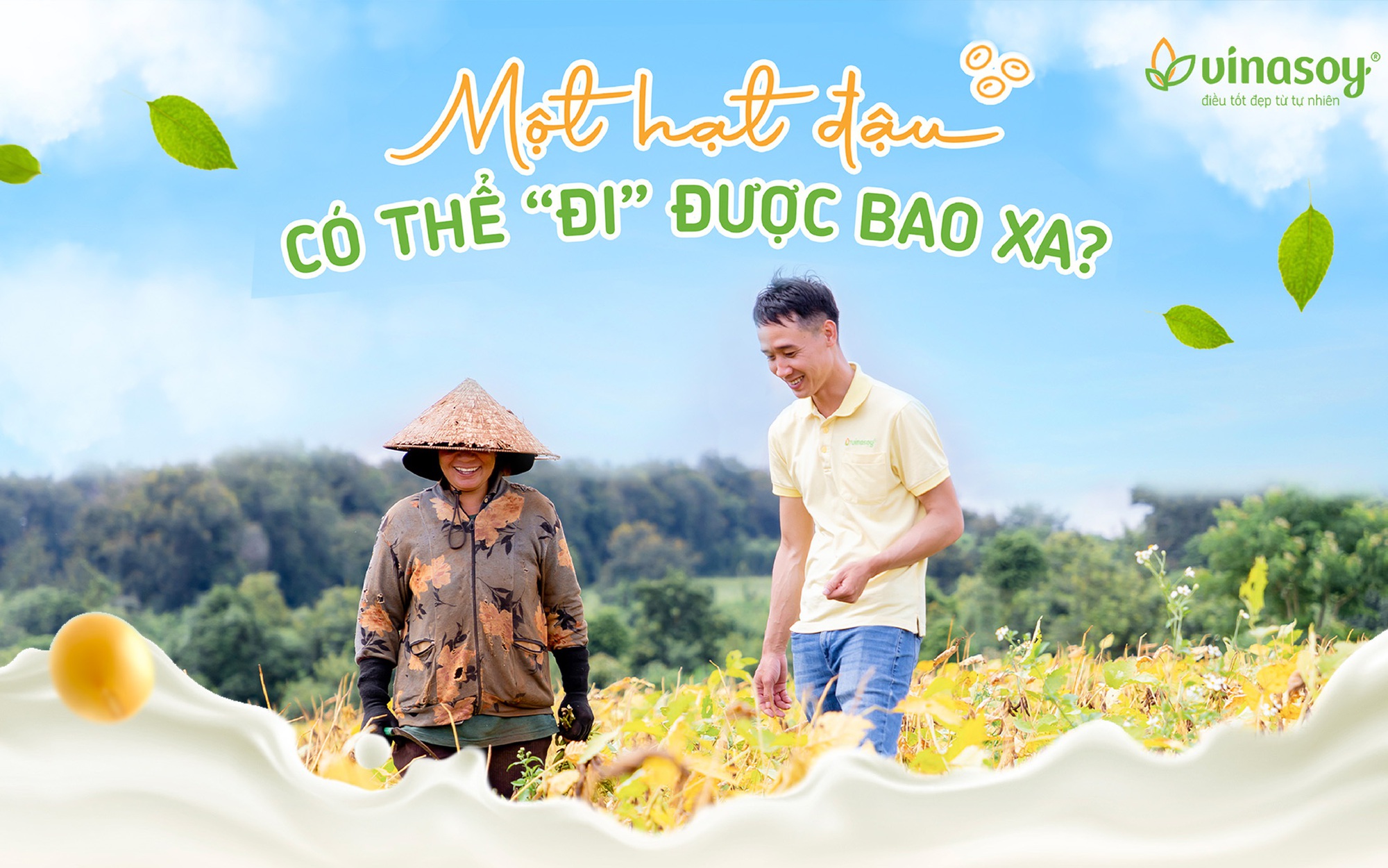 Một hạt đậu có thể 