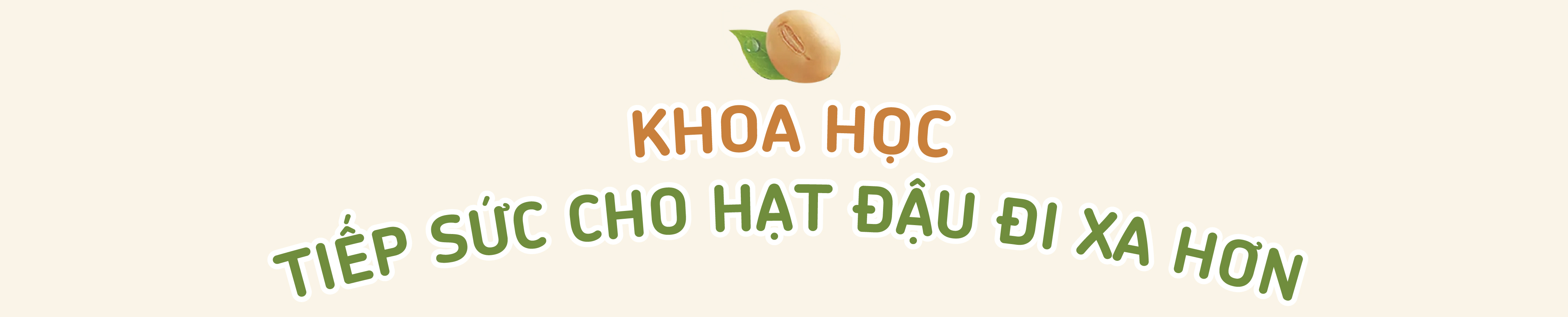 Một hạt đậu có thể 