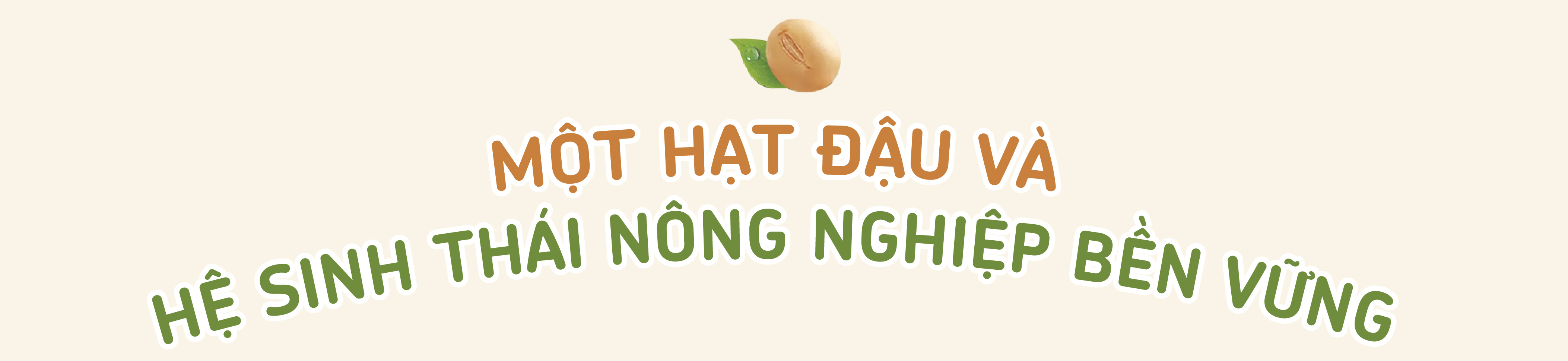 Một hạt đậu có thể 