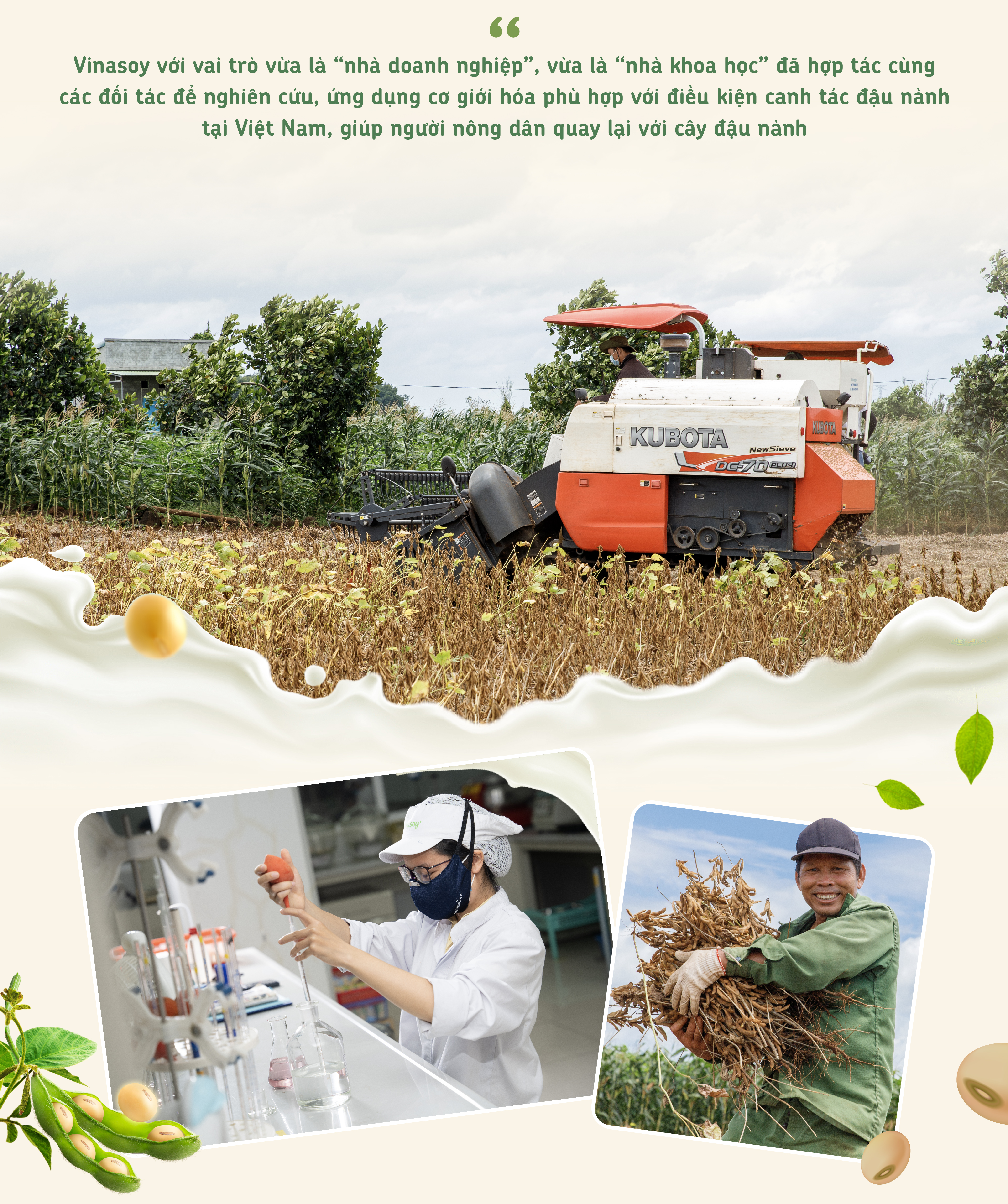 Một hạt đậu có thể 