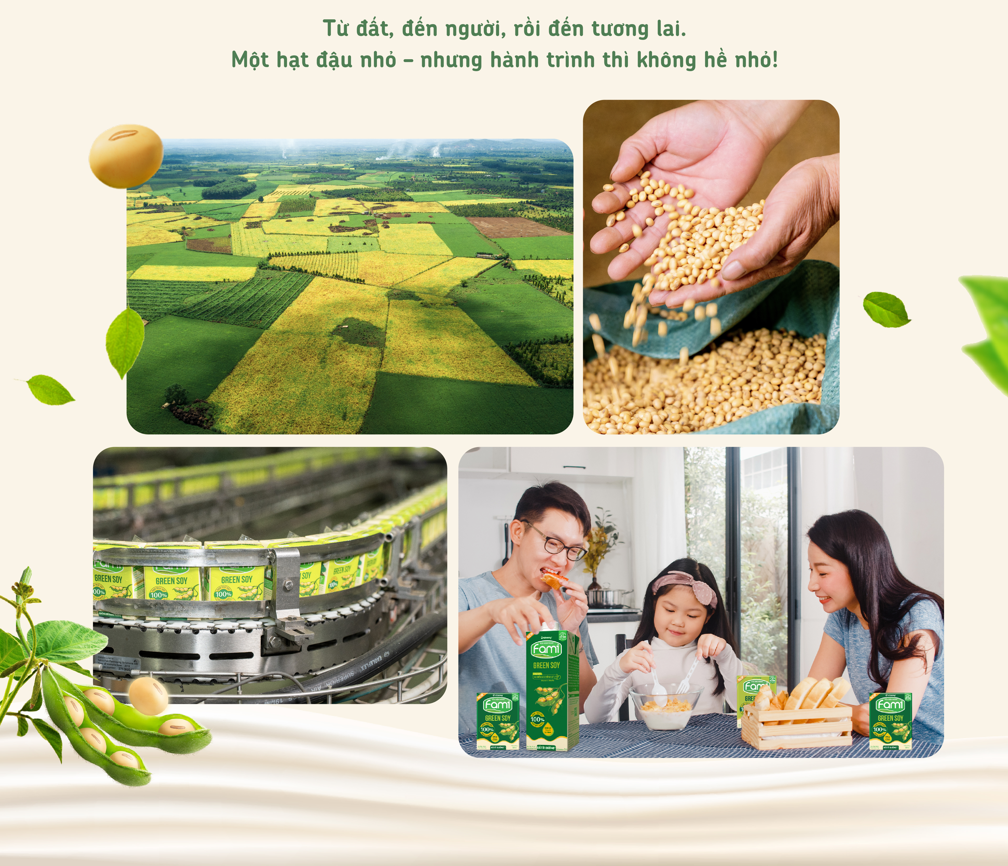 Một hạt đậu có thể 