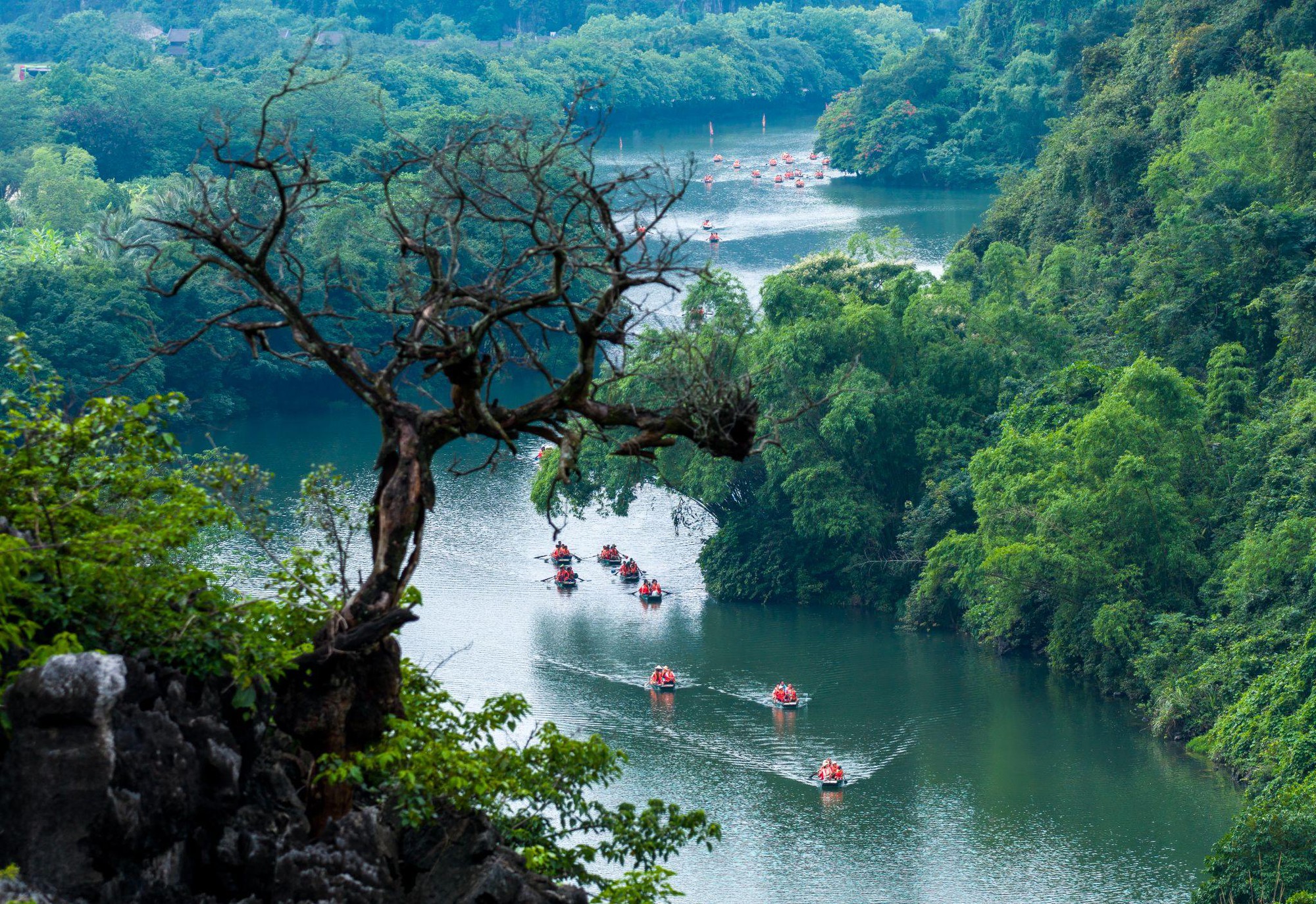 Khơi dậy tình yêu di sản của thế hệ trẻ qua lịch sử sống động- Ảnh 2. Khơi dậy tình yêu di sản của thế hệ trẻ qua lịch sử sống động- Ảnh 2.
