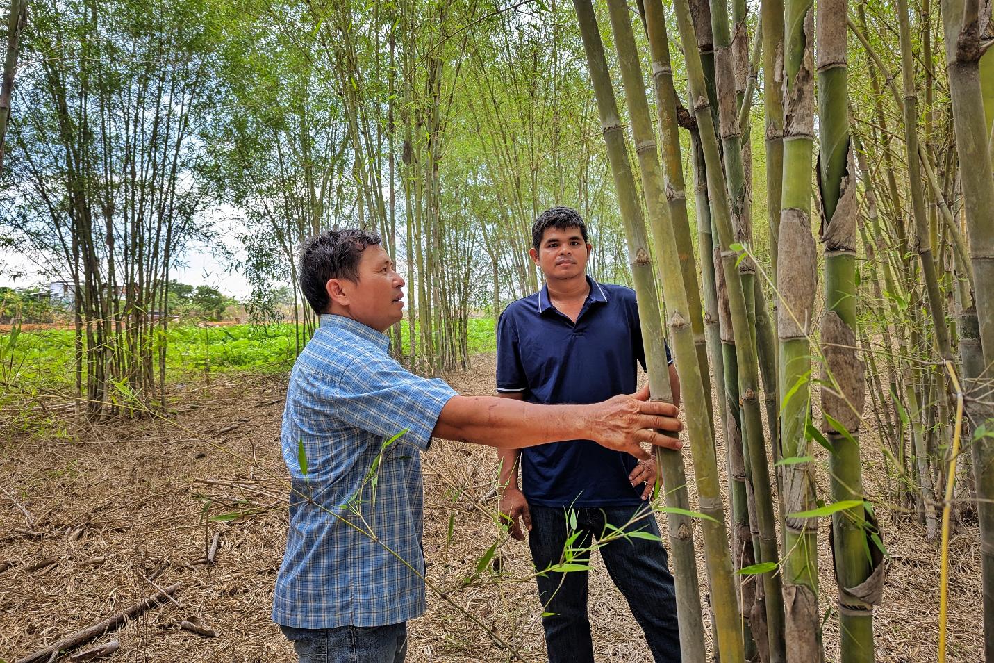 Hành trình nâng tầm vật liệu xanh với thương hiệu Tre Tầm Vông Đàm Phương- Ảnh 2. Hành trình nâng tầm vật liệu xanh với thương hiệu Tre Tầm Vông Đàm Phương- Ảnh 2.