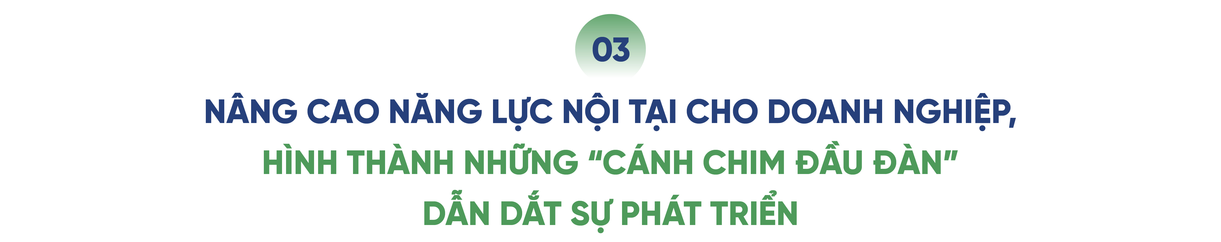 Báo cáo thường niên đồng hành với doanh nghiệp tư nhân Việt Nam suốt hai thập kỷ sắp trở lại với phiên bản nâng cấp- Ảnh 10.