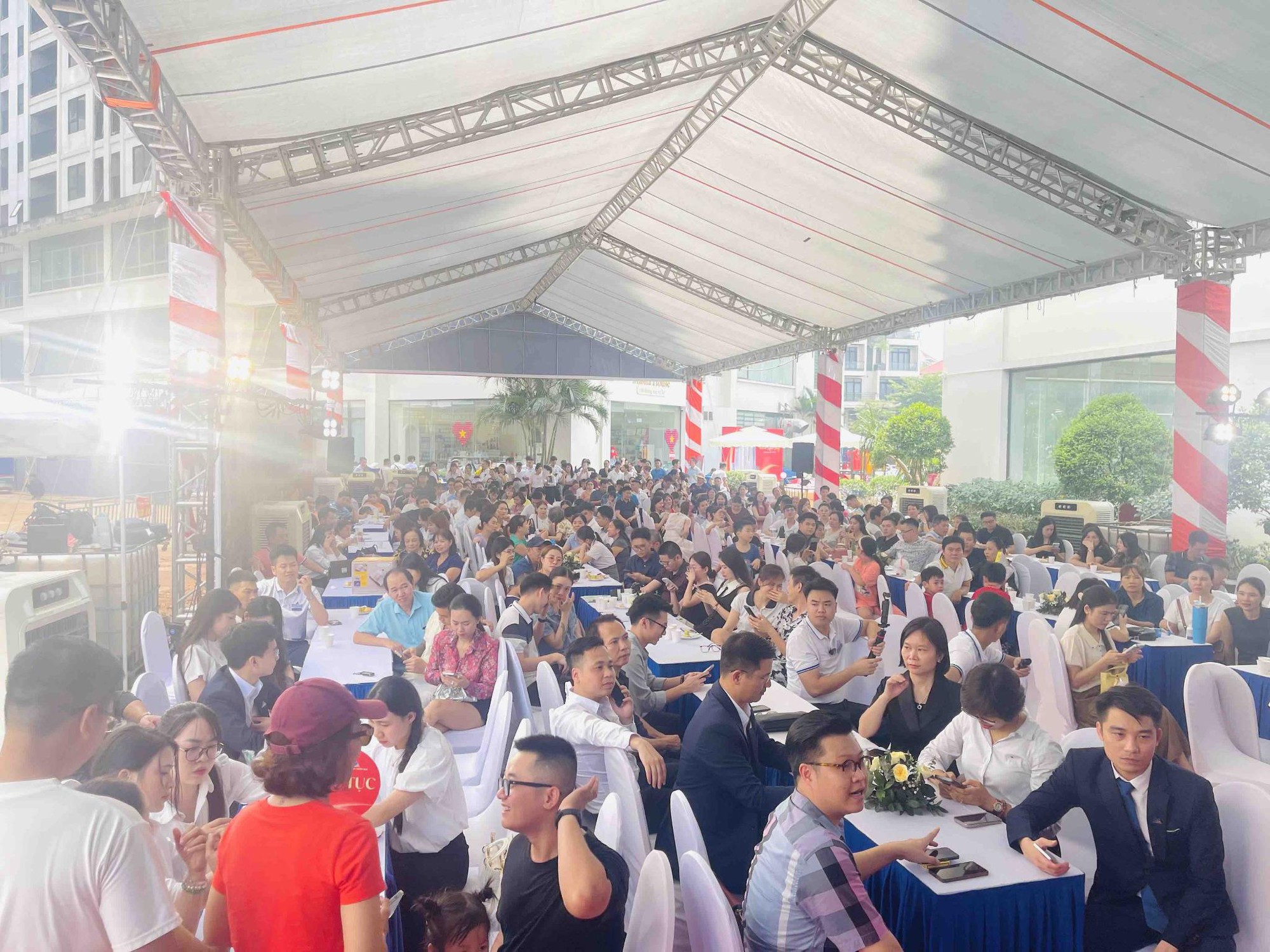Khách hàng mua 3 căn Tecco Elite City thay vì 1 căn chung cư Hà Nội- Ảnh 1.