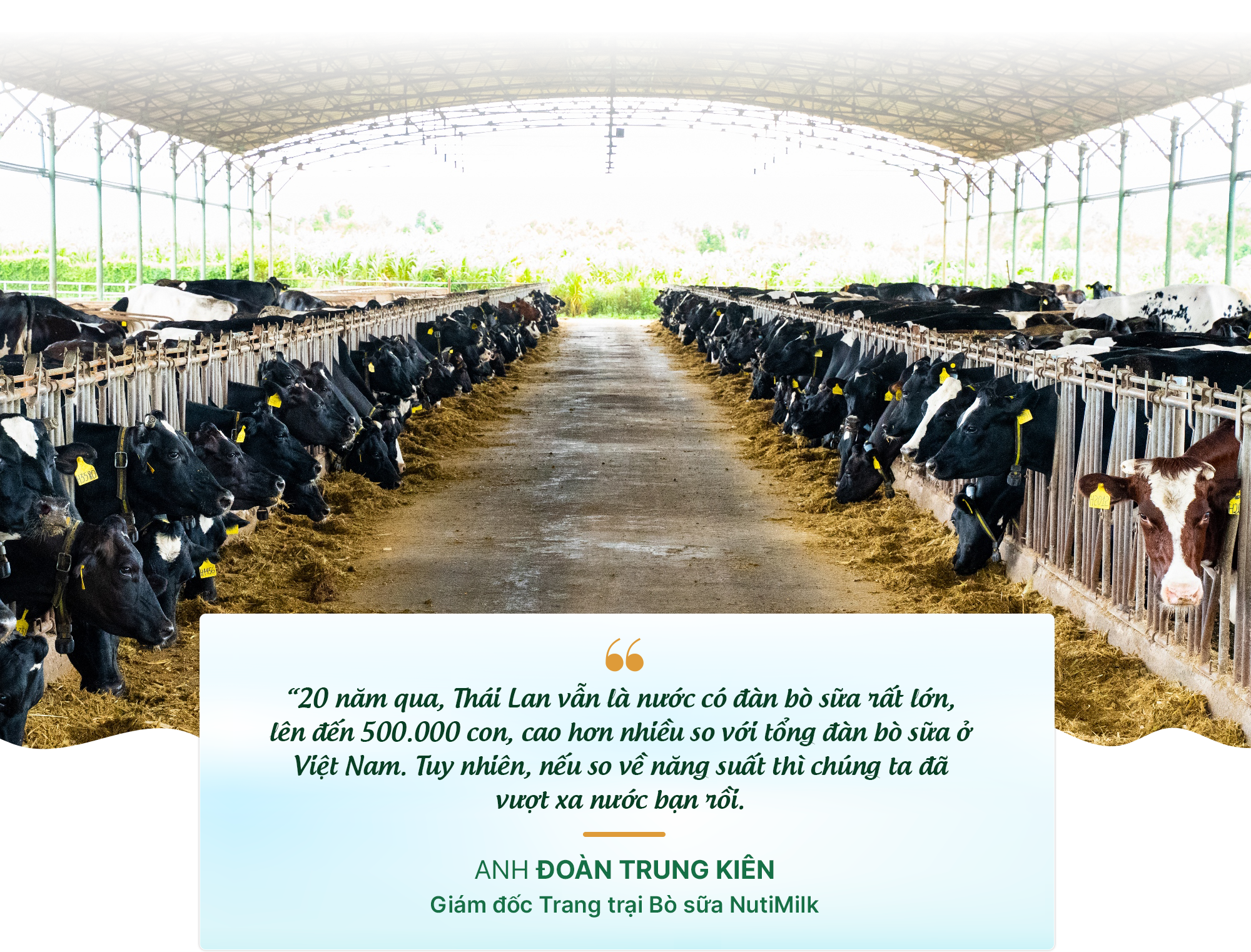 Khát vọng phía sau khoản đầu tư mới 6.000 tỷ đồng của Nutifood: xây dựng thương hiệu sữa tươi Gia Lai, tạo dấu ấn trên "bản đồ" thế giới- Ảnh 2. Khát vọng phía sau khoản đầu tư mới 6.000 tỷ đồng của Nutifood: xây dựng thương hiệu sữa tươi Gia Lai, tạo dấu ấn trên "bản đồ" thế giới- Ảnh 2.