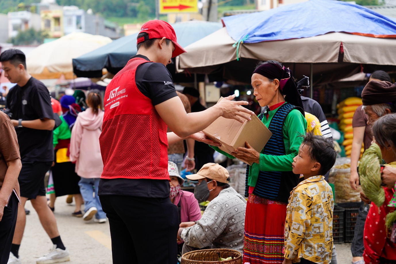 Hành trình thầm lặng phía sau mỗi tổ yến - Ảnh 2.