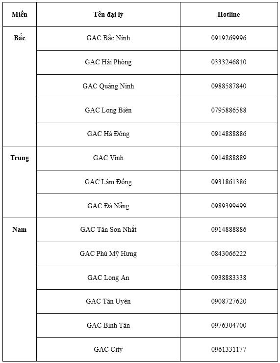 GAC Việt Nam khởi đầu năm mới với ngập tràn ưu đãi - Ảnh 4.