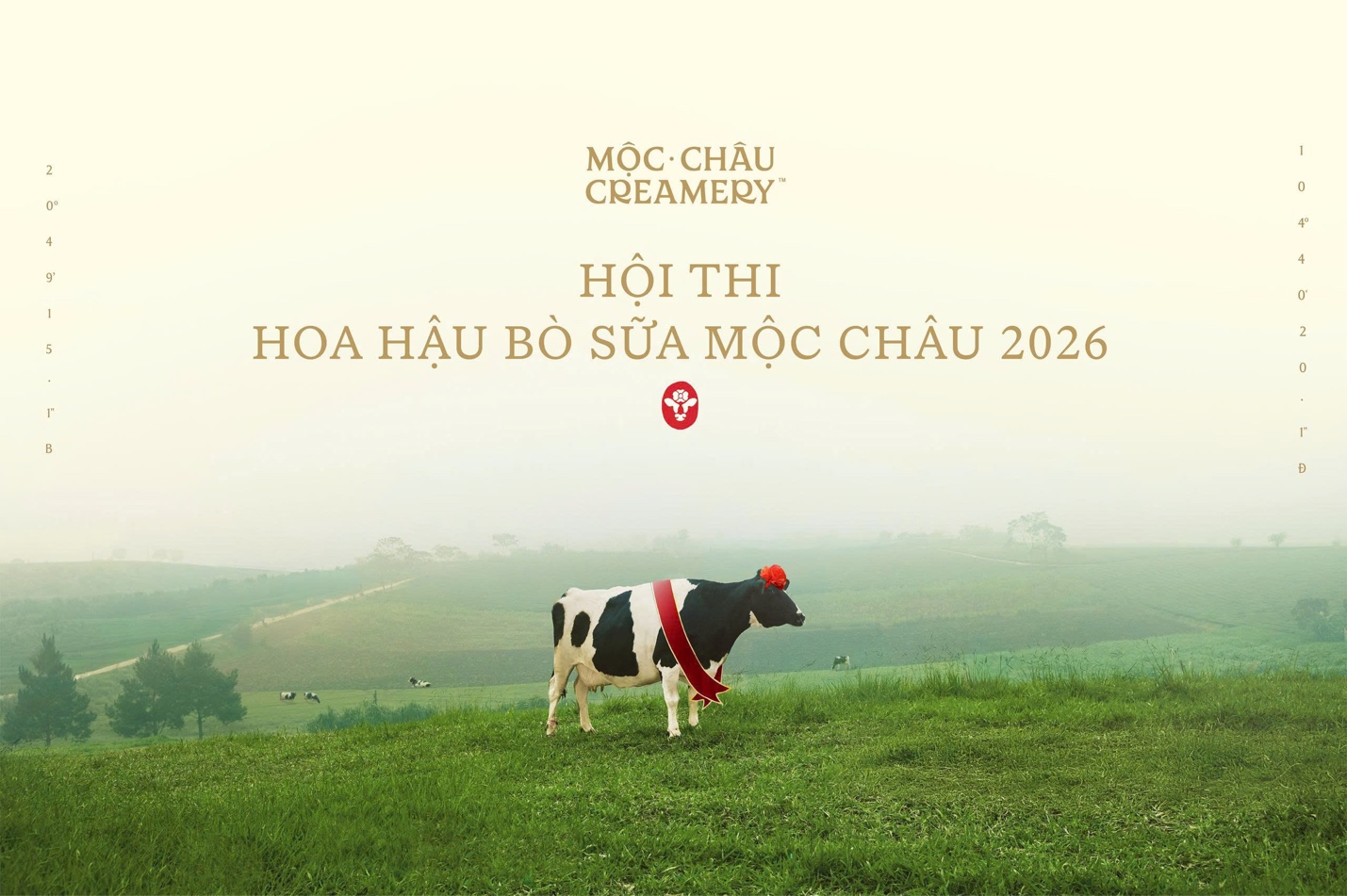 Di sản văn hóa từ thảo nguyên: Hội thi Hoa hậu Bò sữa Mộc Châu trở lại- Ảnh 1.