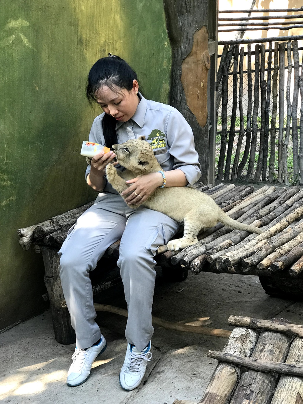 Những ca khó ở “kỳ quan hoang dã” hơn 500 ha Vinpearl Safari Phú Quốc - Ảnh 4. Những ca khó ở “kỳ quan hoang dã” hơn 500 ha Vinpearl Safari Phú Quốc - Ảnh 4.