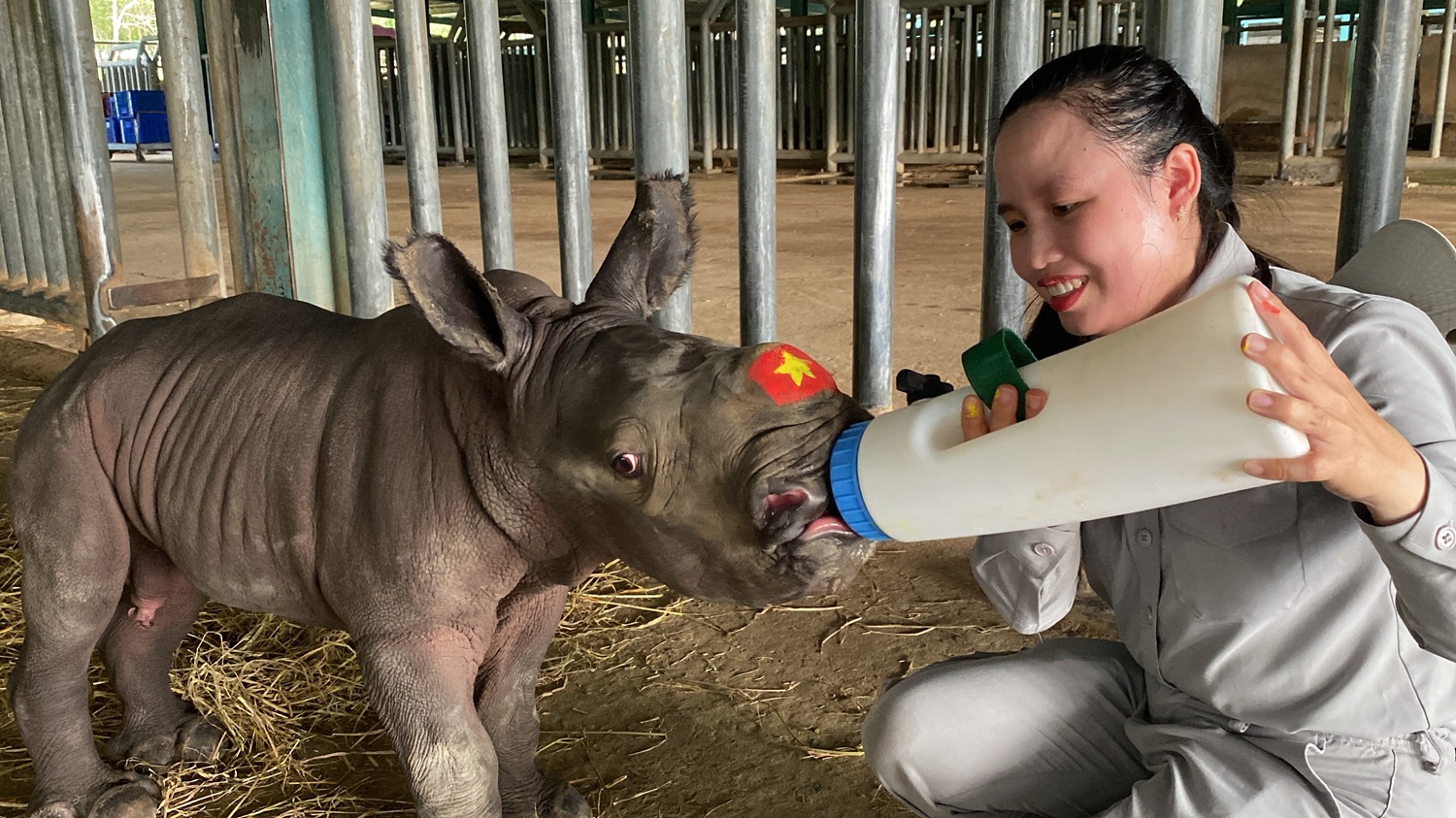 Những ca khó ở “kỳ quan hoang dã” hơn 500 ha Vinpearl Safari Phú Quốc - Ảnh 5. Những ca khó ở “kỳ quan hoang dã” hơn 500 ha Vinpearl Safari Phú Quốc - Ảnh 5.