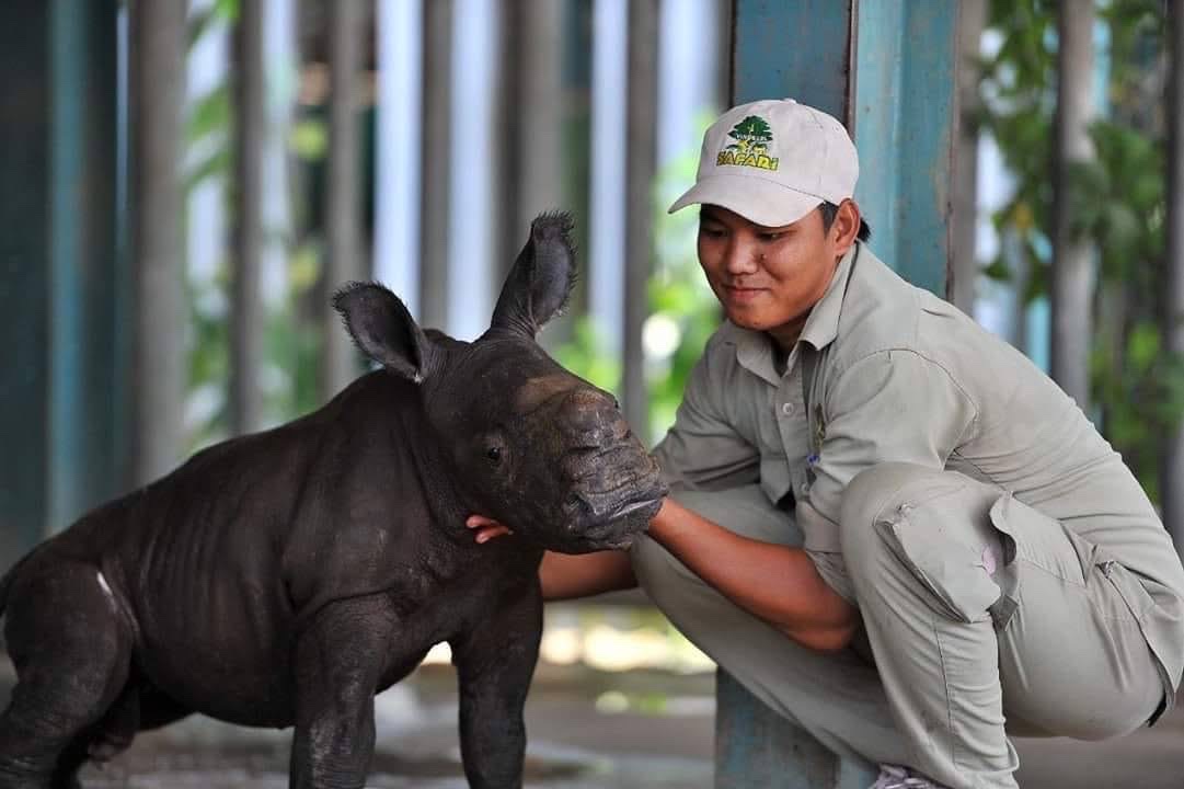 Những ca khó ở “kỳ quan hoang dã” hơn 500 ha Vinpearl Safari Phú Quốc - Ảnh 6. Những ca khó ở “kỳ quan hoang dã” hơn 500 ha Vinpearl Safari Phú Quốc - Ảnh 6.
