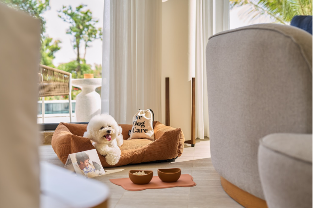 Kỳ nghỉ thảnh thơi trọn g&oacute;i cho cả nh&agrave; v&agrave; boss bốn ch&acirc;n tại Meli&aacute; Serenity Cam Ranh - Ảnh 3.