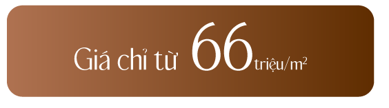 Giá chỉ từ 66 triệu/m²