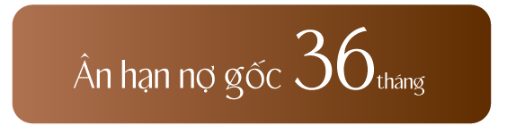 Ân hạn nợ gốc 36 tháng