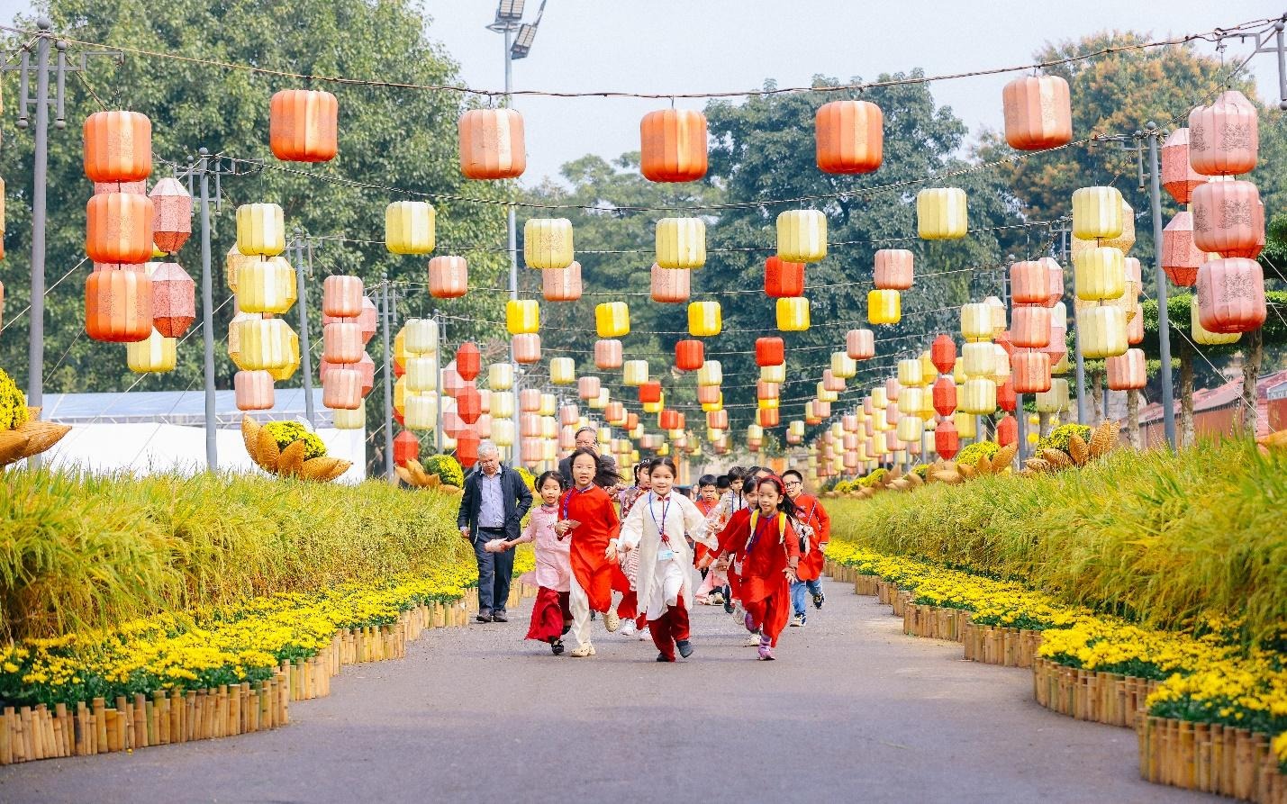 Lần đầu tiên có đường hoa Tết tại Hoàng thành Thăng Long- Ảnh 6.