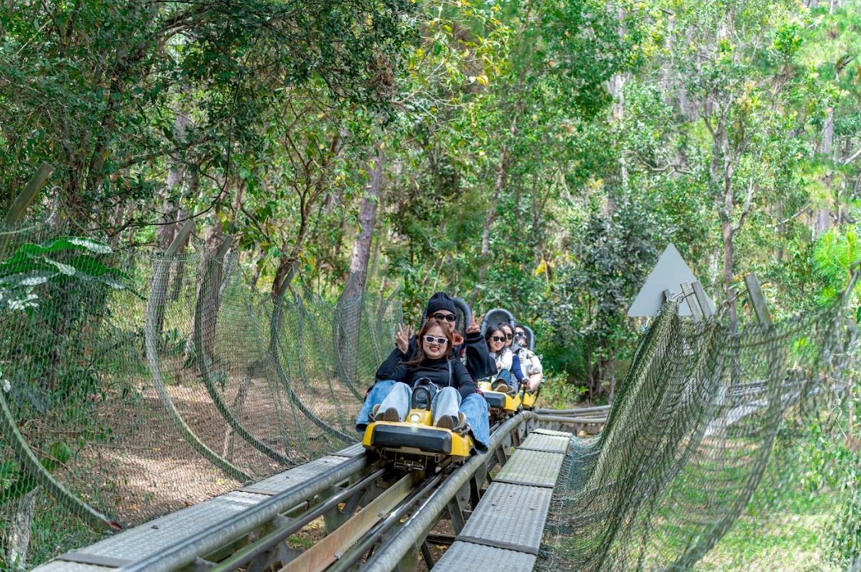 Dalattourist: 50 năm bền bỉ sứ mệnh phát triển du lịch xanh cùng Đà Lạt- Ảnh 4. Dalattourist: 50 năm bền bỉ sứ mệnh phát triển du lịch xanh cùng Đà Lạt- Ảnh 4.