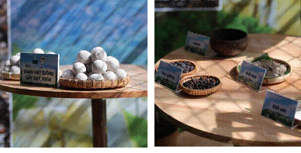 Từ kỷ lục Guinness đến 1 triệu cây xanh: Unilever và chiến lược hồi sinh rừng Việt Nam - Ảnh 3.