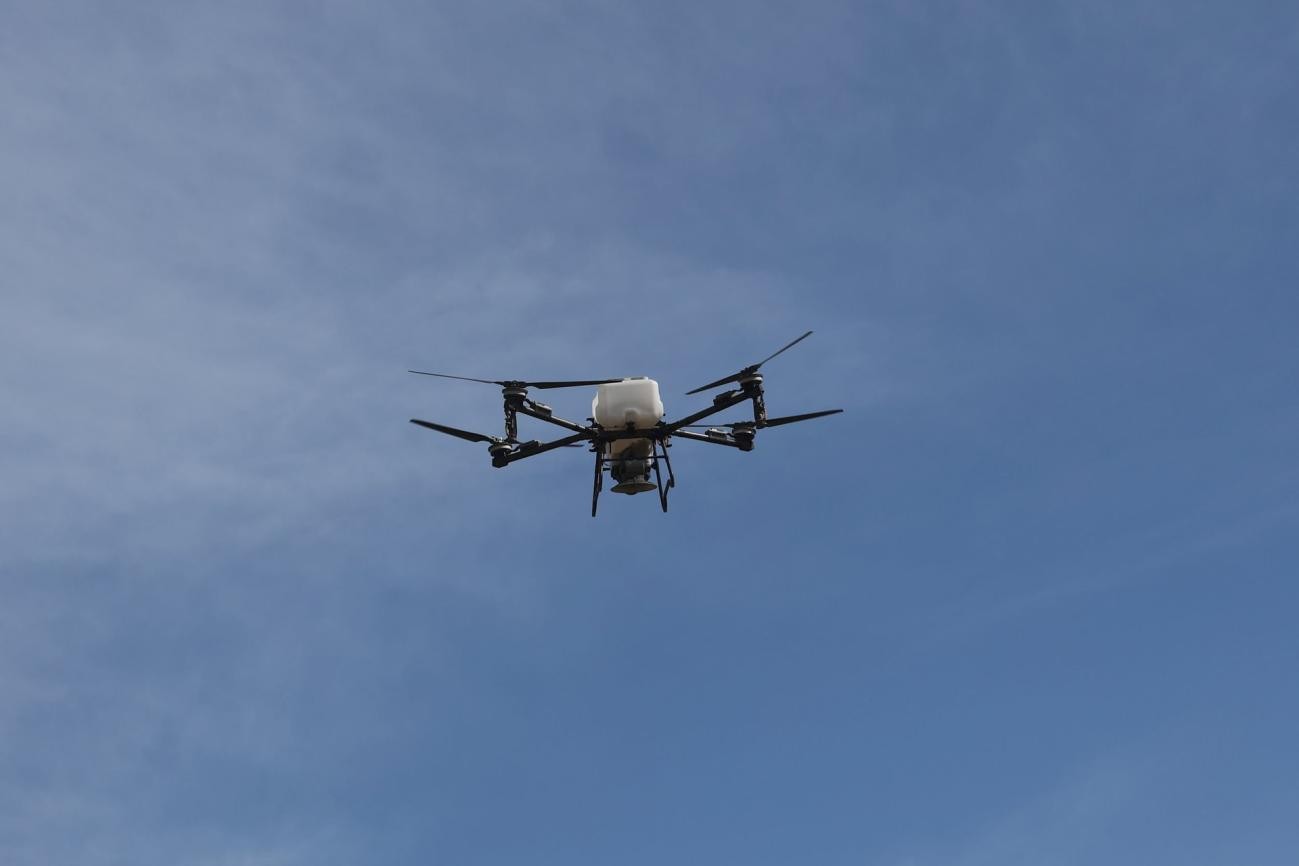 Từ kỷ lục Guinness đến 1 triệu cây xanh: Unilever và chiến lược hồi sinh rừng Việt Nam - Ảnh 4.