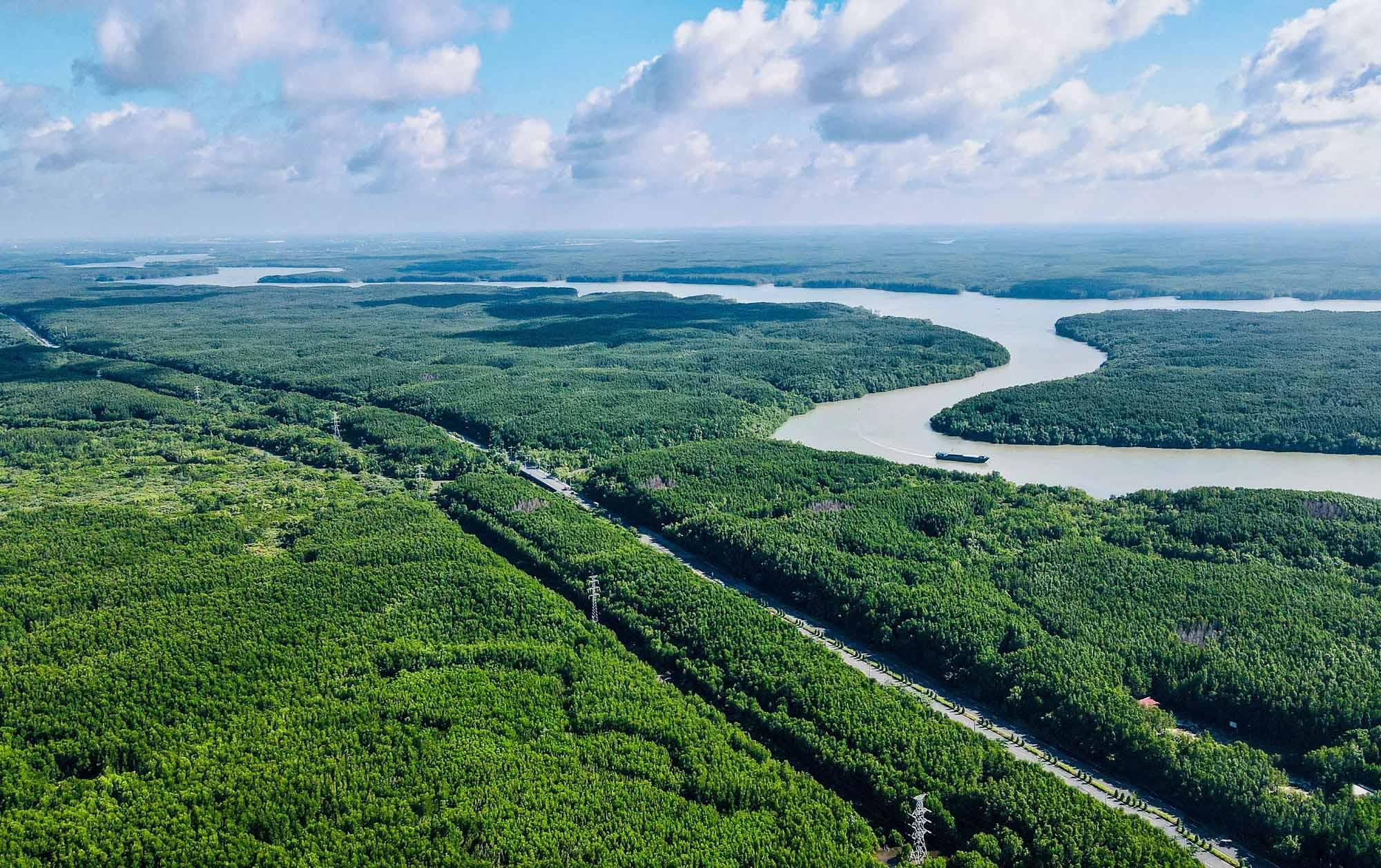 Compound viết tiếp câu chuyện “sống xanh” giữa tâm điểm Vịnh Tiên của siêu đô thị biển - Ảnh 2.