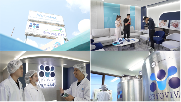 Sara Lưu chia sẻ trải nghiệm lưu trữ tế b&agrave;o gốc m&aacute;u cuống rốn cho 2 qu&yacute; tử sau 5 năm - Ảnh 3.