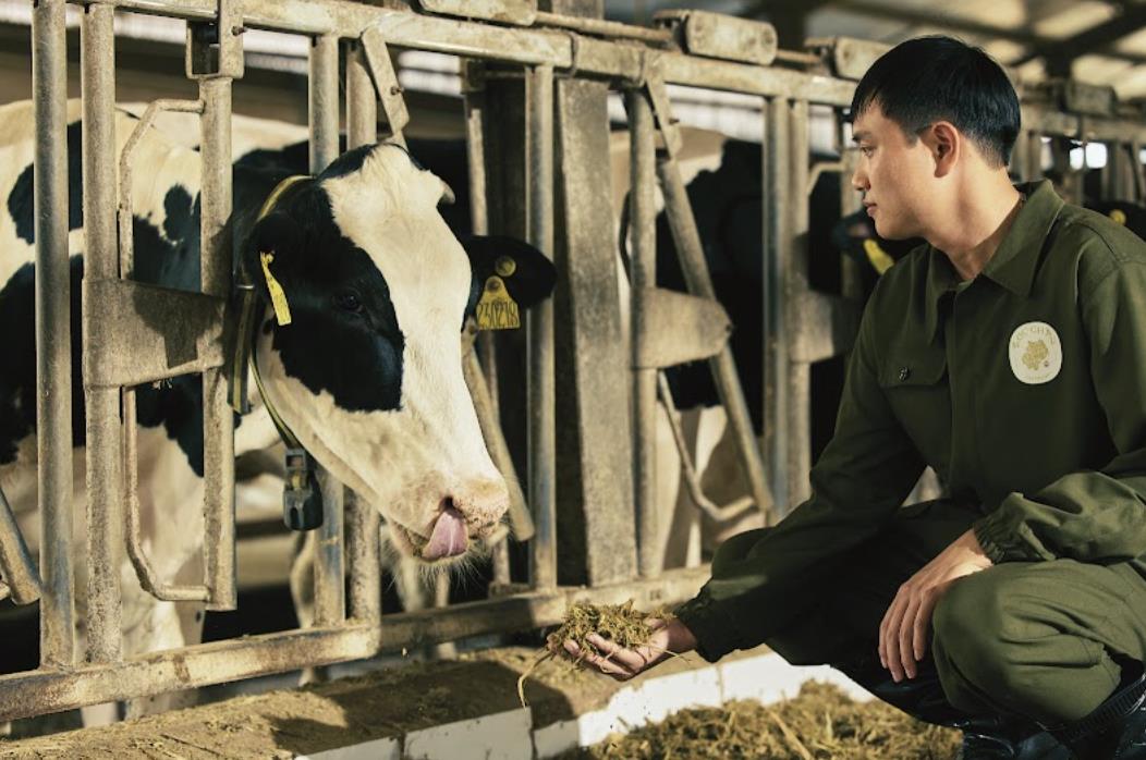 Doanh thu thuần Mộc Châu Milk đạt 741,6 tỷ đồng trong Quý I, kỳ vọng tăng trưởng năm 2026- Ảnh 1.