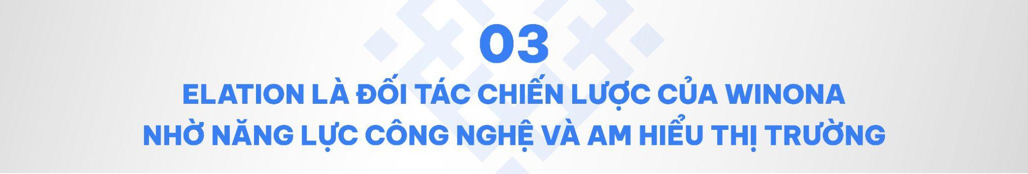 Winona và hành trình chinh phục thị trường Việt Nam cùng Elation- Ảnh 5.