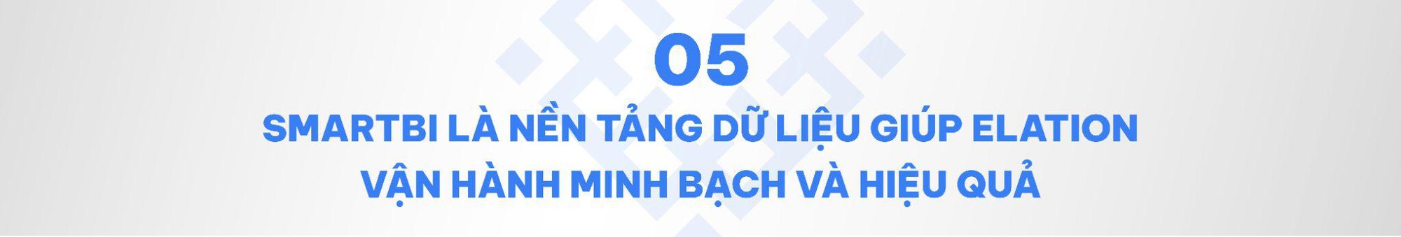 Winona và hành trình chinh phục thị trường Việt Nam cùng Elation- Ảnh 9.