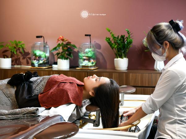 Ghé thăm salon Việt lọt Top 50 salon xanh thế giới- Ảnh 3.
