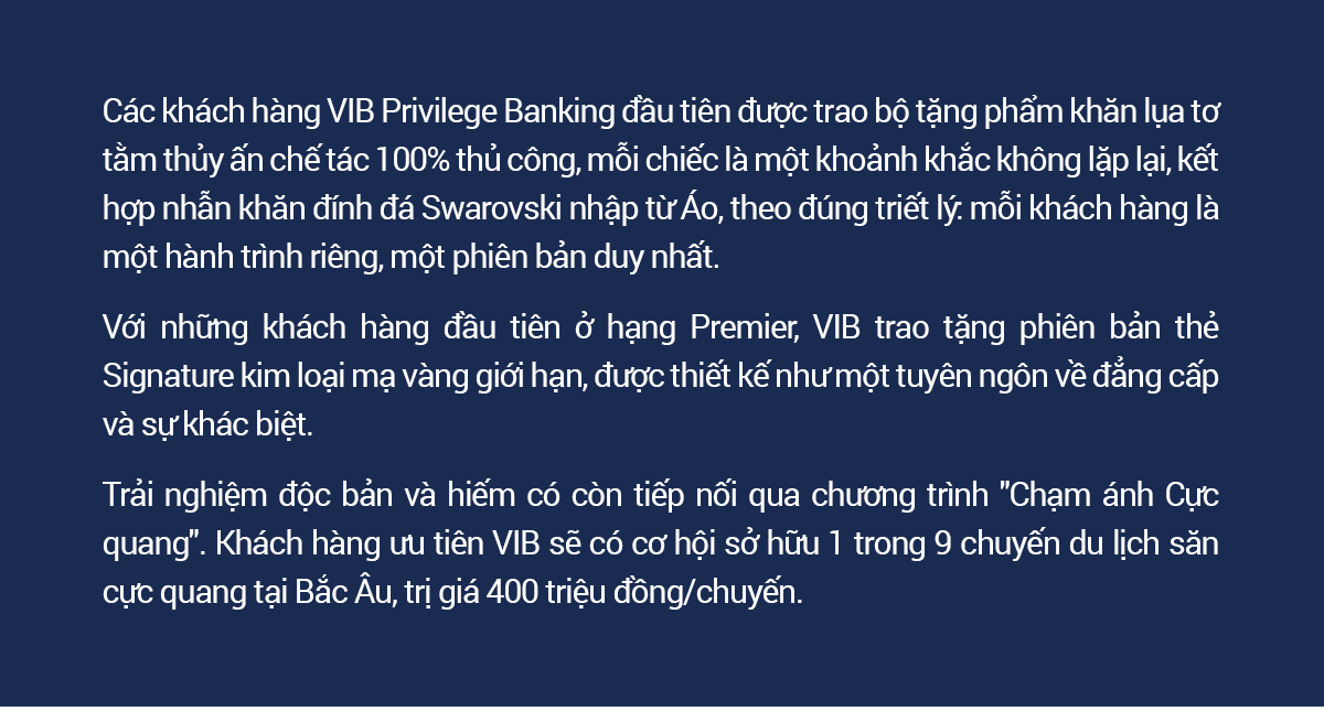 Phó Tổng Giám đốc VIB: “Ngân hàng ưu tiên không dừng ở đặc quyền, mà giúp khách hàng chủ động trước mọi chuyển động” - Ảnh 12.