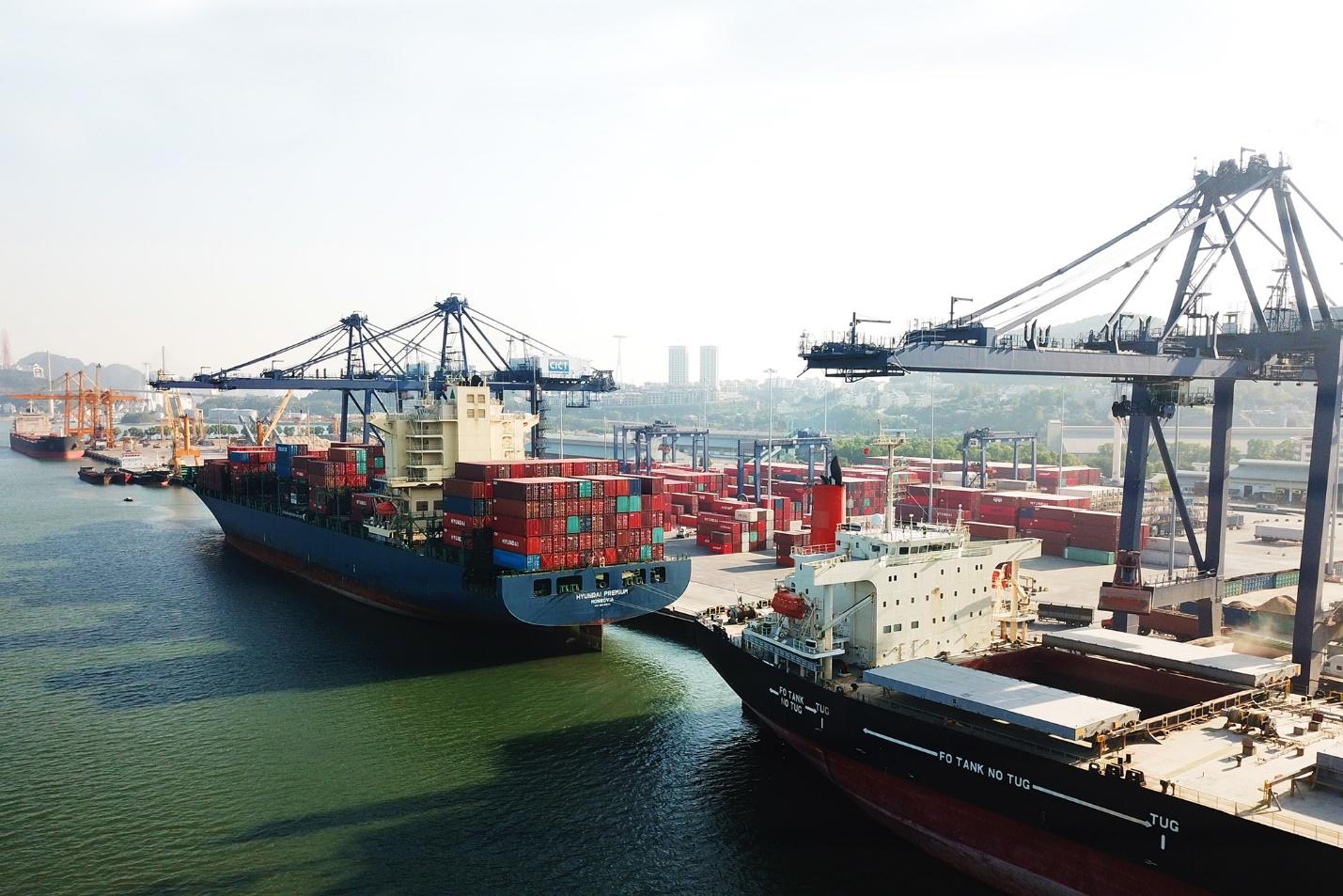 Sau bất động sản và năng lượng, T&T Group của Bầu Hiển đang tăng tốc trên đường đua logistics- Ảnh 2.