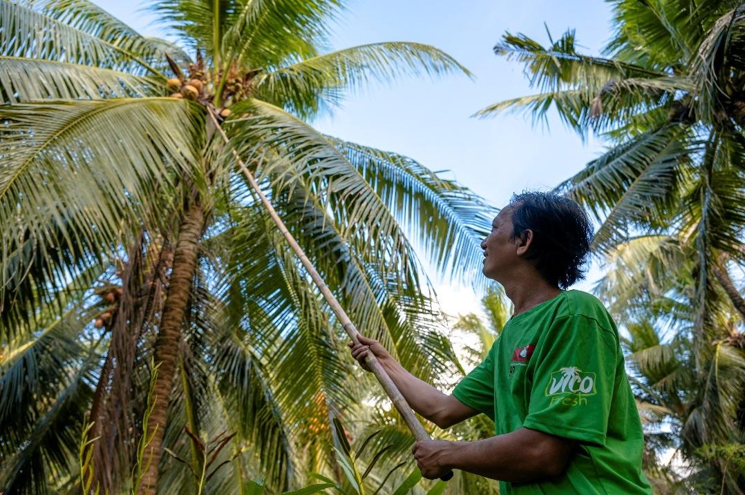 Tập đoàn Nguyên Liệu Á Châu AIG động thổ nhà máy chế biến dừa công nghệ hàng đầu thế giới- Ảnh 5.