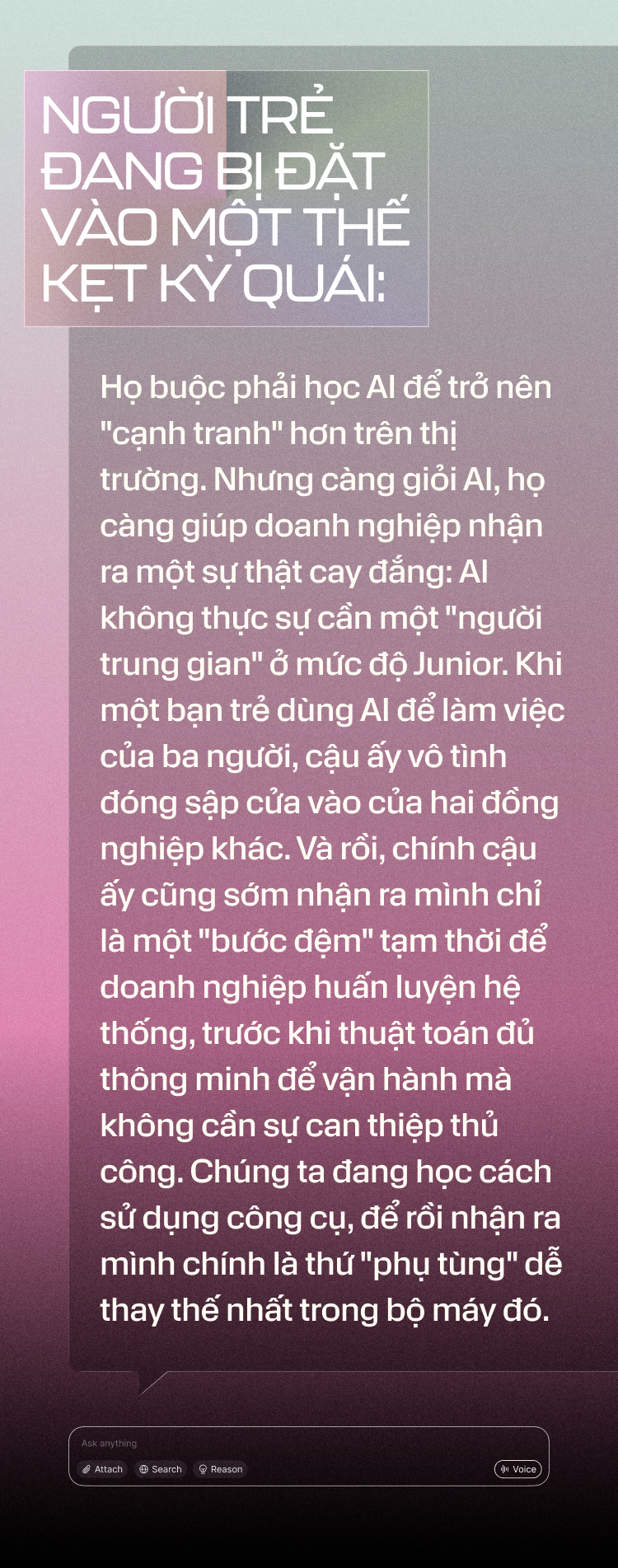 Ảnh 980px Số 2