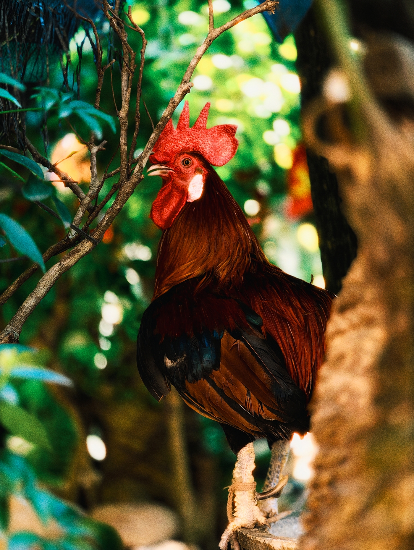 Slide 2