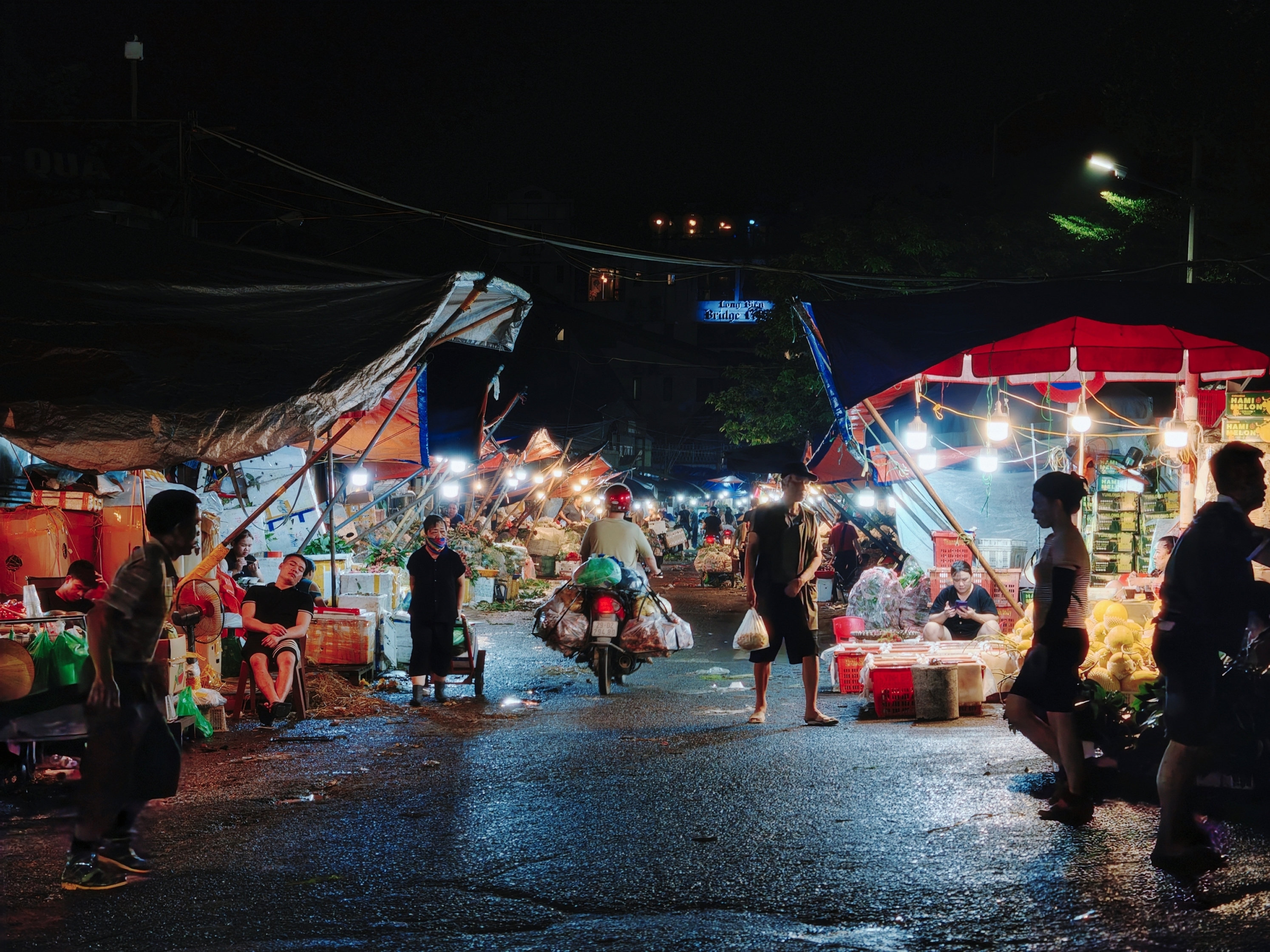 Chợ Hoa Quảng An & Chợ Cá Long Biên