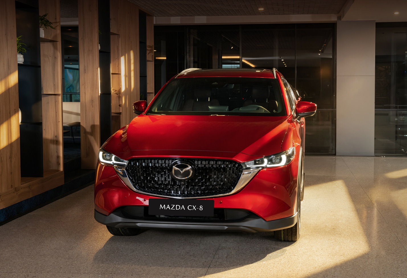 Mazda Việt Nam giới thiệu xe Mazda CX-8 2.5 Luxury giá bán 899 triệu đồng- Ảnh 2.