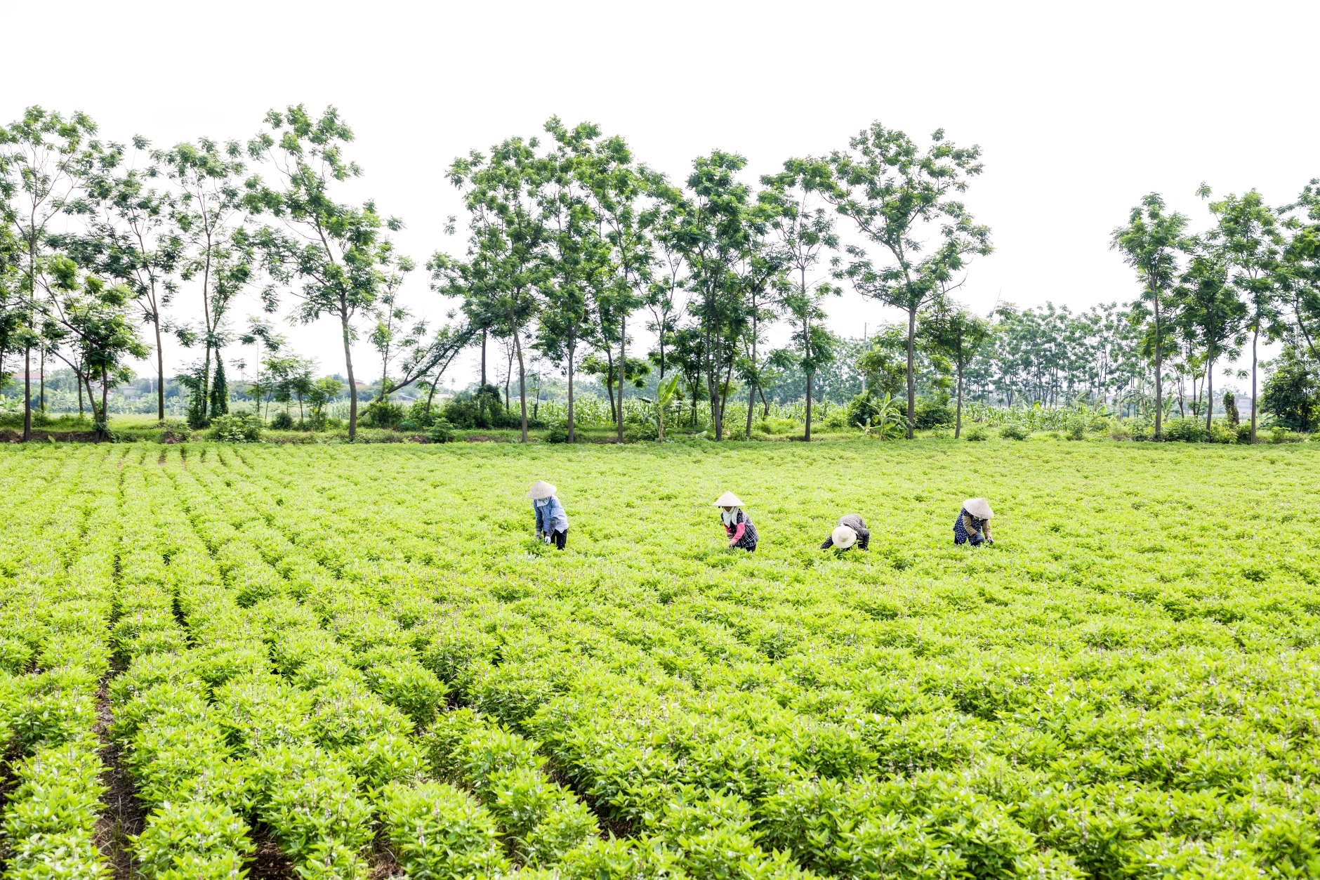 AIG tiếp tục tăng trưởng vượt bậc, giữ vững vị thế tập đoàn hàng đầu- Ảnh 2.