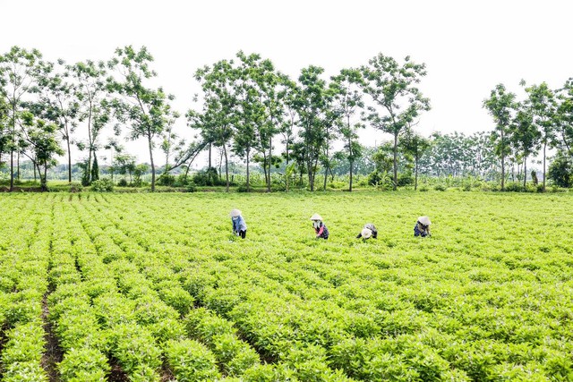 AIG tiếp tục tăng trưởng vượt bậc, giữ vững vị thế tập đoàn hàng đầu - Ảnh 2.