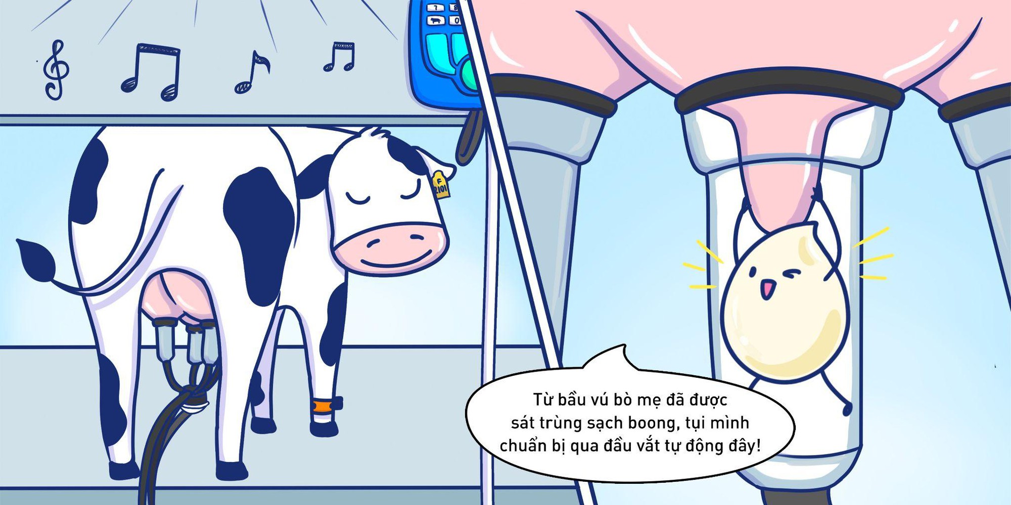 Khám phá hành trình không hở một giây của giọt sữa tươi sạch TH true MILK - Ảnh 1. Khám phá hành trình không hở một giây của giọt sữa tươi sạch TH true MILK - Ảnh 1.