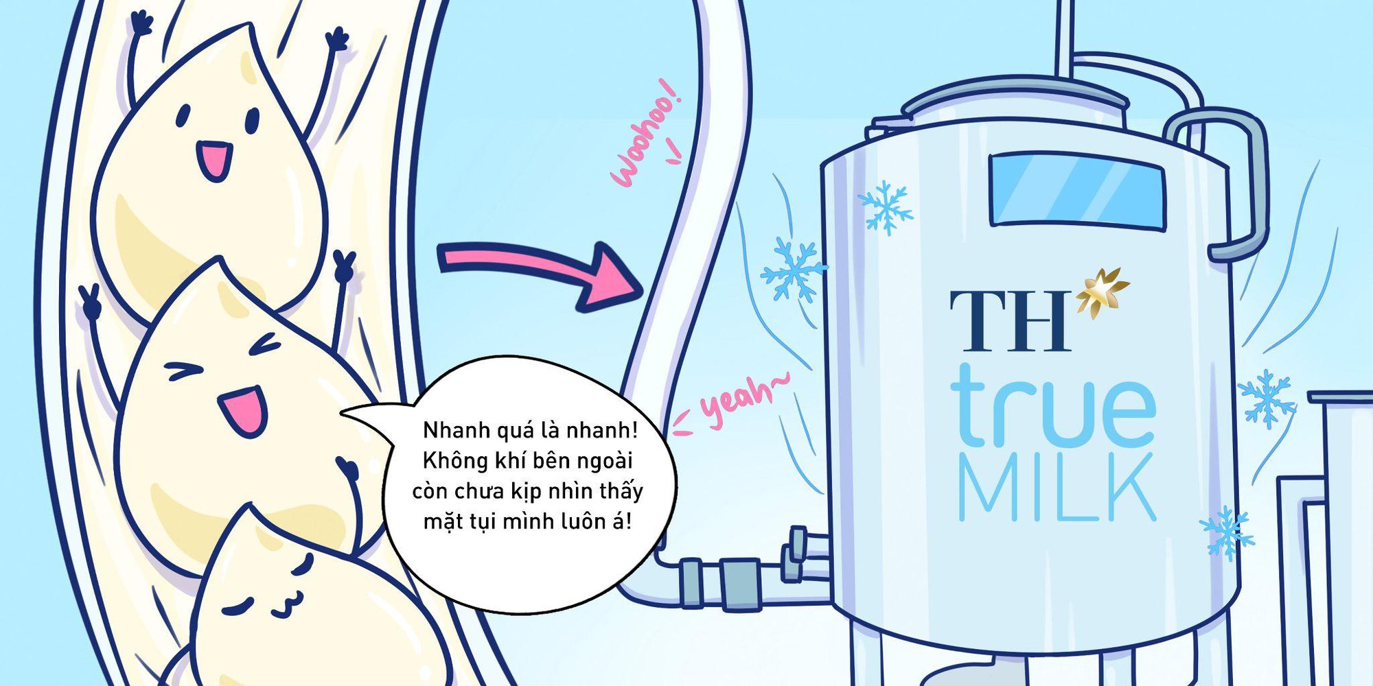 Khám phá hành trình không hở một giây của giọt sữa tươi sạch TH true MILK - Ảnh 3. Khám phá hành trình không hở một giây của giọt sữa tươi sạch TH true MILK - Ảnh 3.