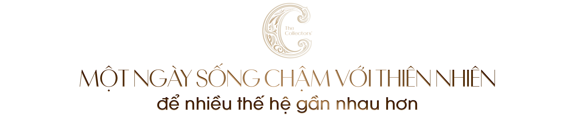 Kiến tạo một hệ sinh thái thiên nhiên truyền đời giữa nội đô - Ảnh 1. Kiến tạo một hệ sinh thái thiên nhiên truyền đời giữa nội đô - Ảnh 1.
