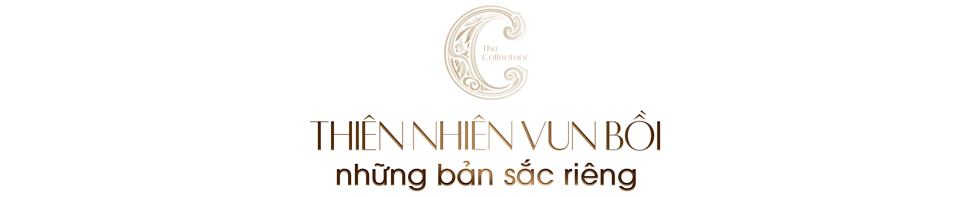 Kiến tạo một hệ sinh thái thiên nhiên truyền đời giữa nội đô - Ảnh 7. Kiến tạo một hệ sinh thái thiên nhiên truyền đời giữa nội đô - Ảnh 7.