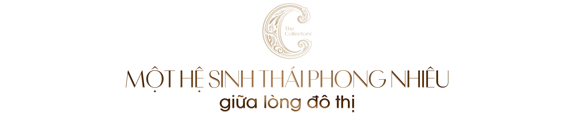 Kiến tạo một hệ sinh thái thiên nhiên truyền đời giữa nội đô - Ảnh 12. Kiến tạo một hệ sinh thái thiên nhiên truyền đời giữa nội đô - Ảnh 12.