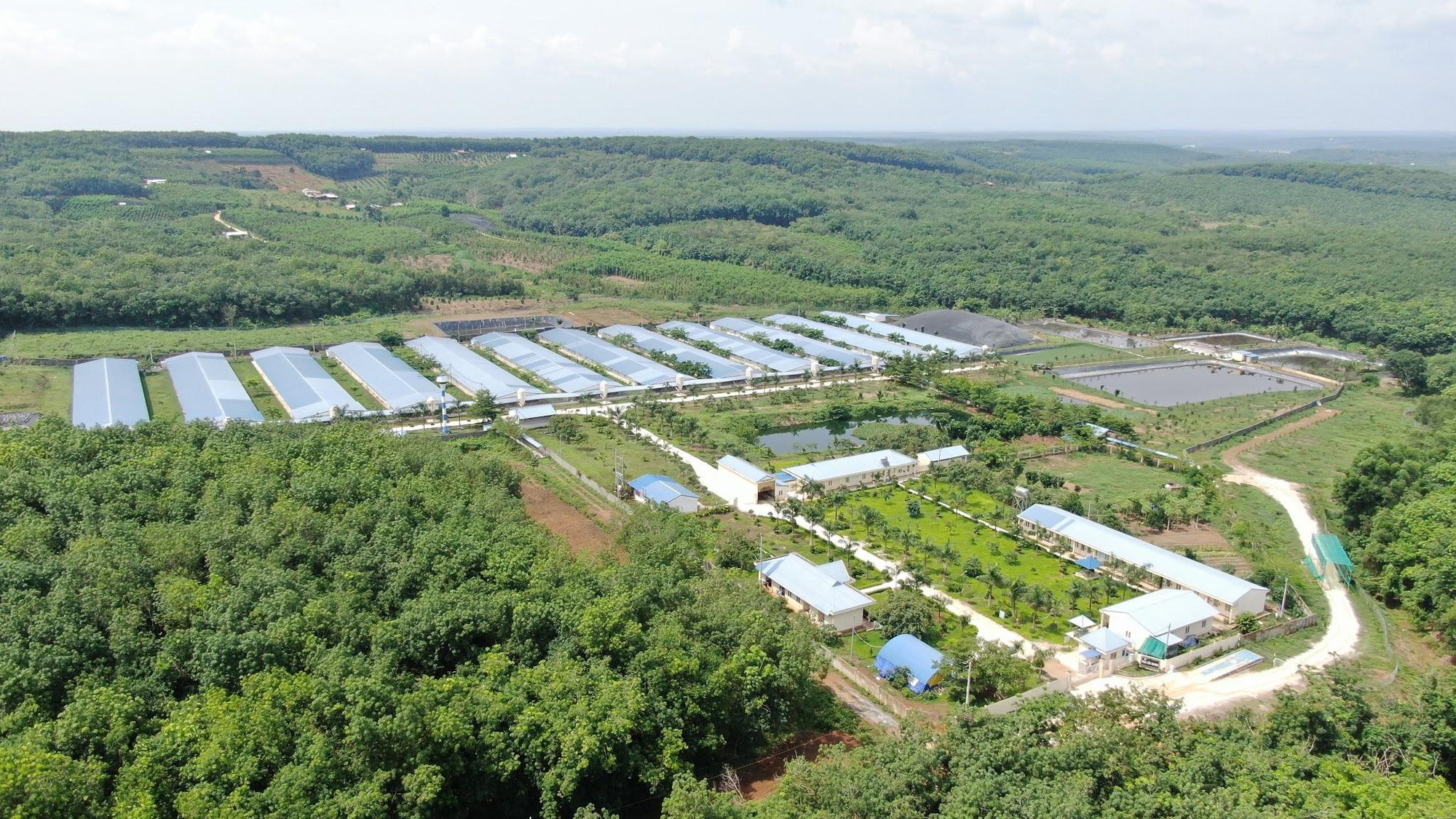 Năng lực R&D và chuyển đổi số trong chuỗi giá trị của C.P. Việt Nam- Ảnh 4.