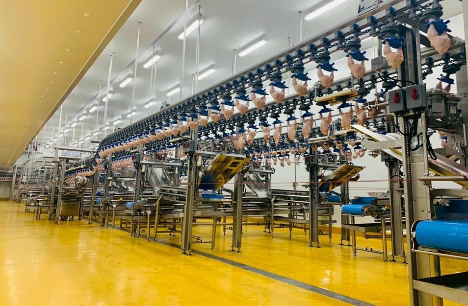 Tập đoàn C.P. mở rộng đầu tư tại Việt Nam, thúc đẩy chế biến sâu và xuất khẩu- Ảnh 3. Tập đoàn C.P. mở rộng đầu tư tại Việt Nam, thúc đẩy chế biến sâu và xuất khẩu- Ảnh 3.