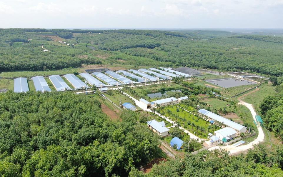 Tập đoàn C.P. mở rộng đầu tư tại Việt Nam, thúc đẩy chế biến sâu và xuất khẩu- Ảnh 4. Tập đoàn C.P. mở rộng đầu tư tại Việt Nam, thúc đẩy chế biến sâu và xuất khẩu- Ảnh 4.
